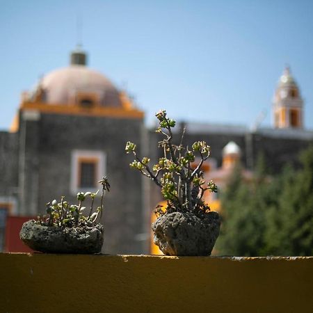 Majikal B&B - La Dona Cholula Exterior photo
